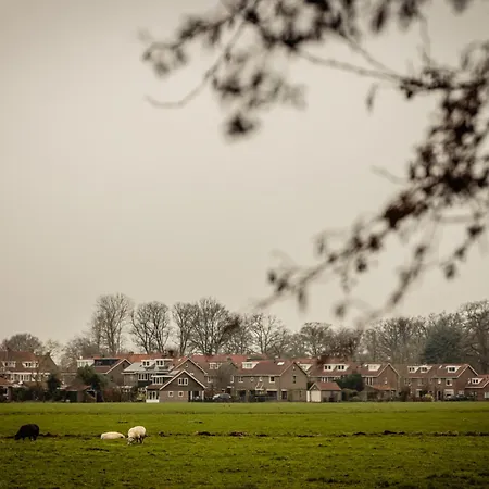Boutique Hotel De Witte Dame-3